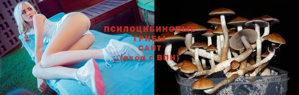 мет Медвежьегорск