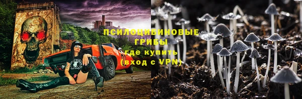 сатива Мегион