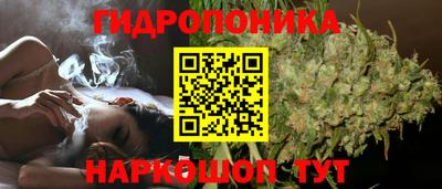 ALPHA-PVP Кандалакша